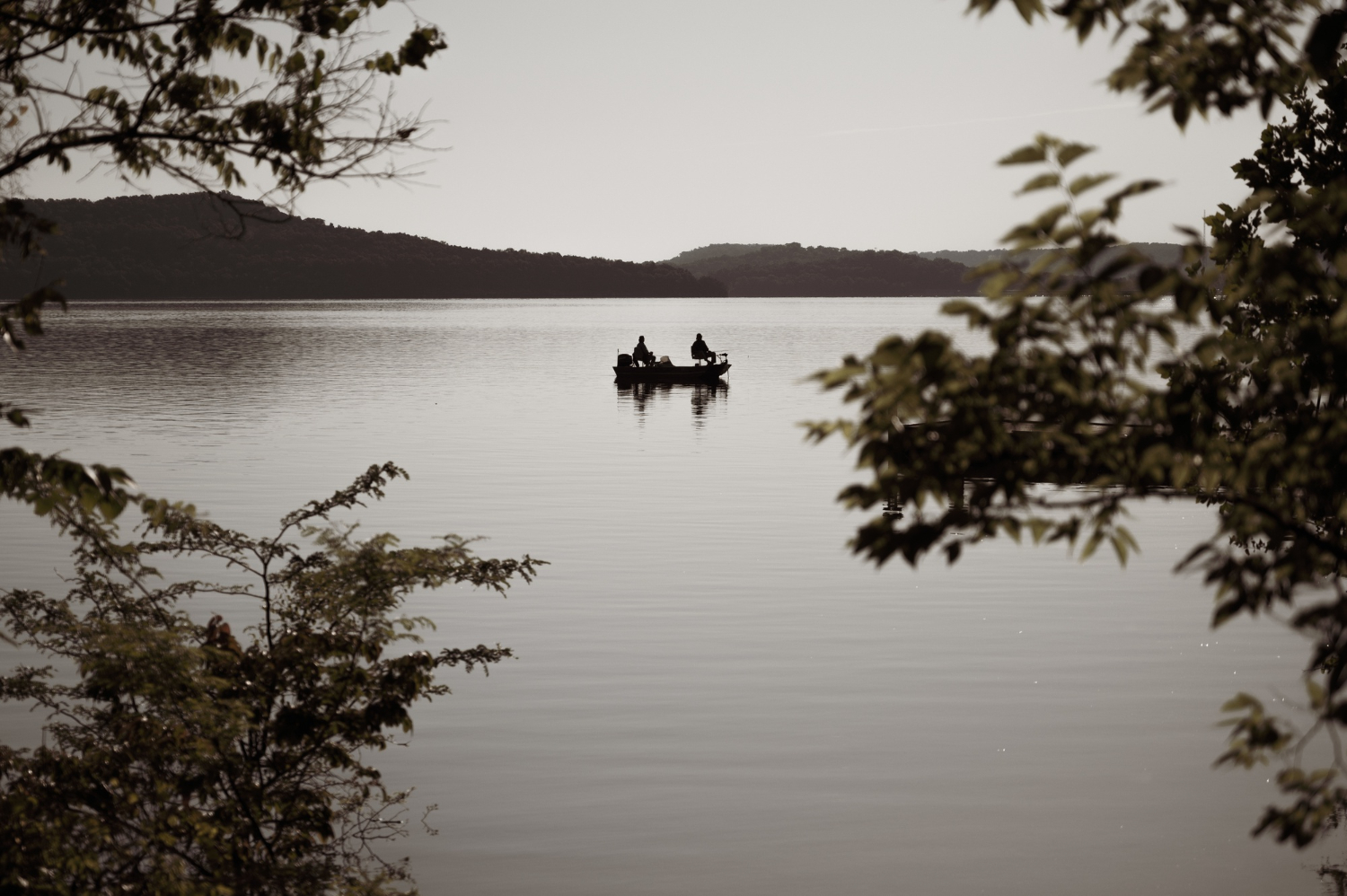 Coto de Pesca Río Narcea - Tramo Salas