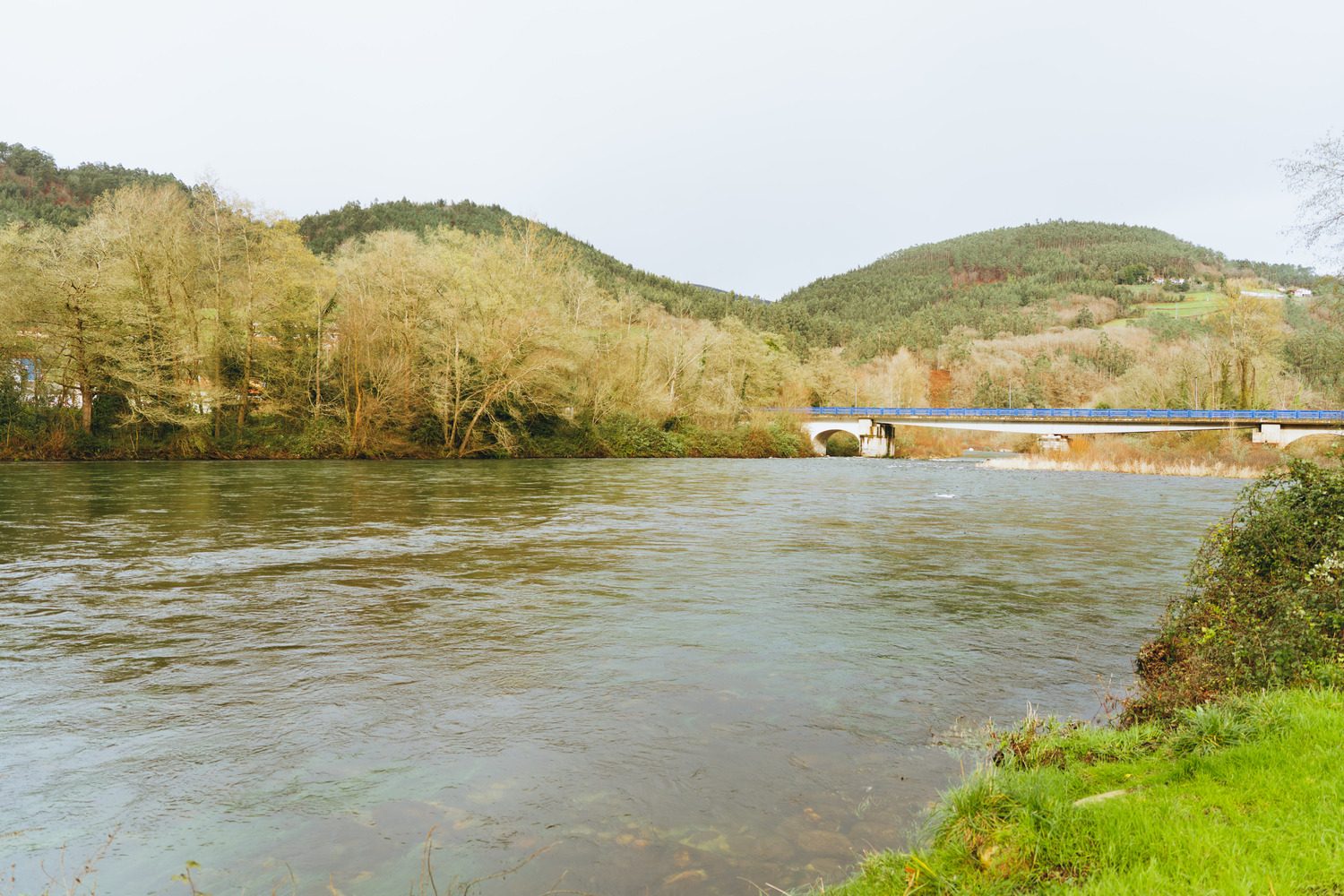 P.R. AS-128 Sendero del Salmón