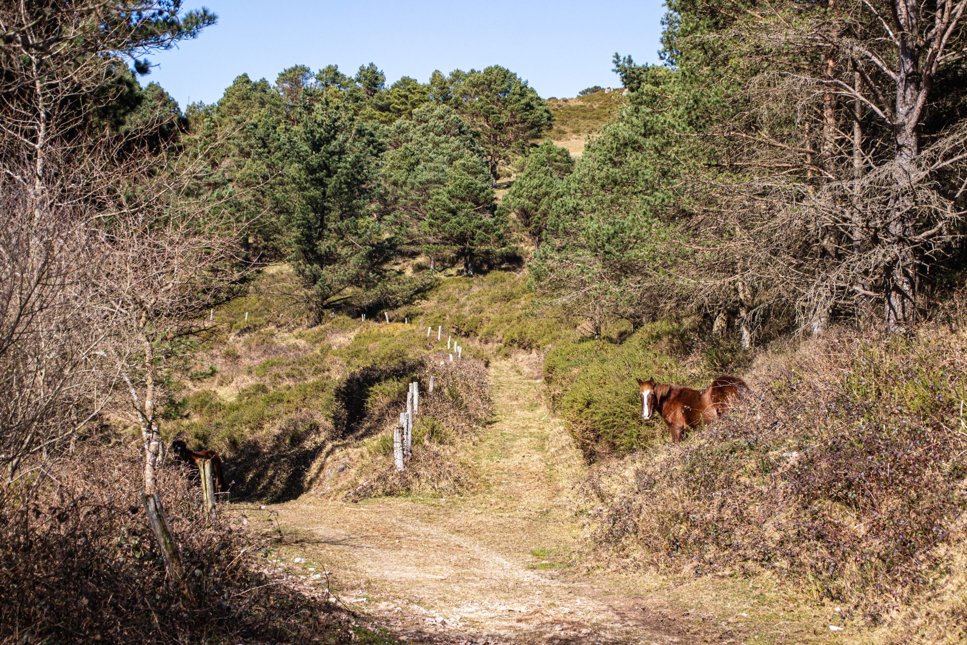 Sector Aguión - 6